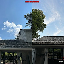Cedar-Shake-Roof-Cleaned-in-Olivette-Missouri 2